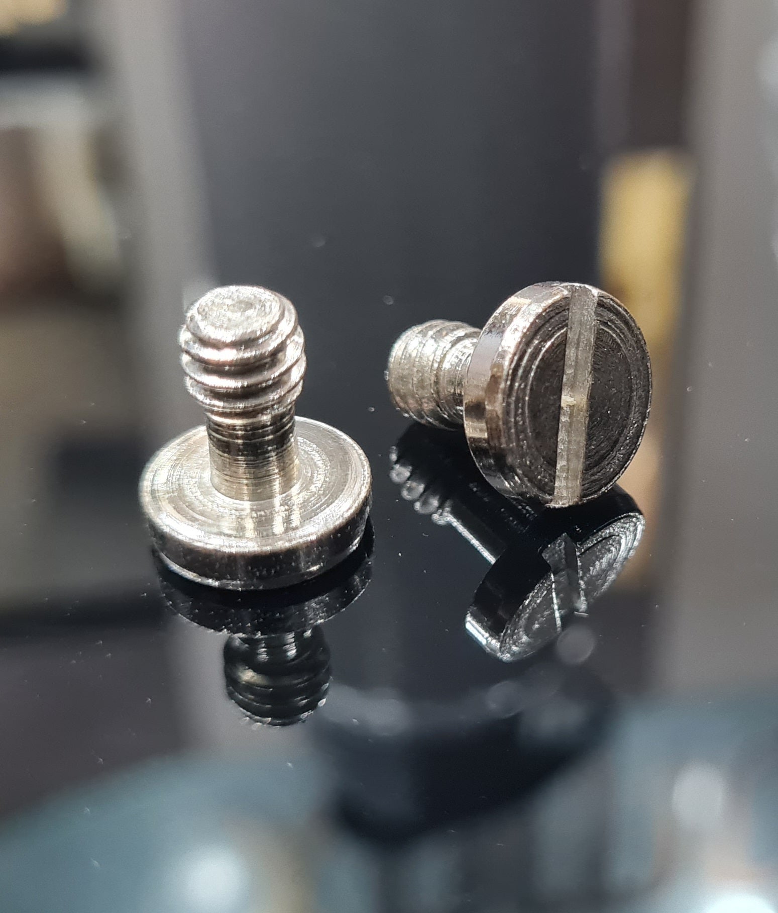 Omax 1/4"-20 Threaded Screw for Tripod/Monopod/Quick Release (QR) Plate/Camera Screws (2 Pack) - The Camerashop